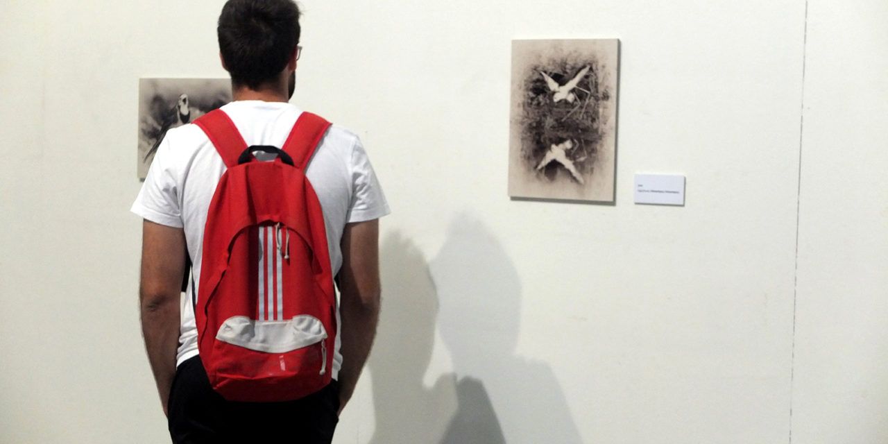 La Universidad de Jaén muestra la exposición fotográfica ‘Alas de Papel’, con motivo de la conmemoración del Día Mundial del Medio Ambiente