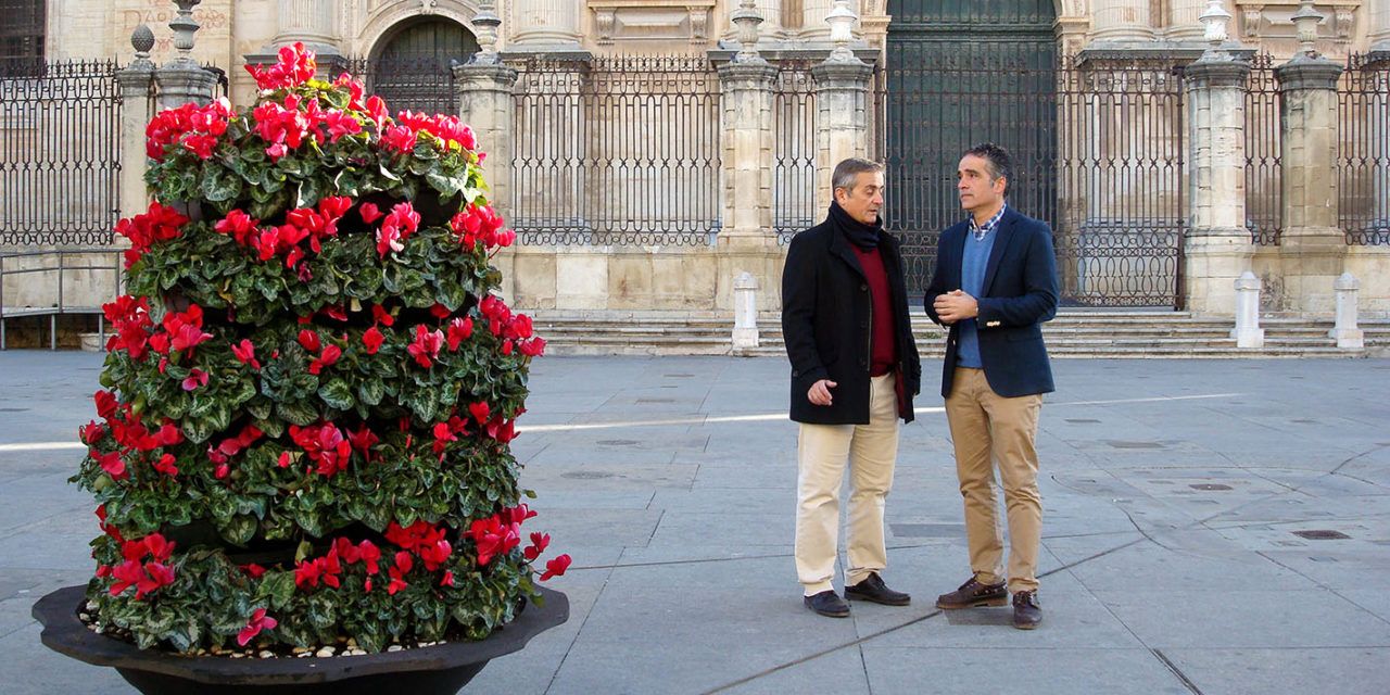 4.000 flores engalanarán la ciudad por Navidad