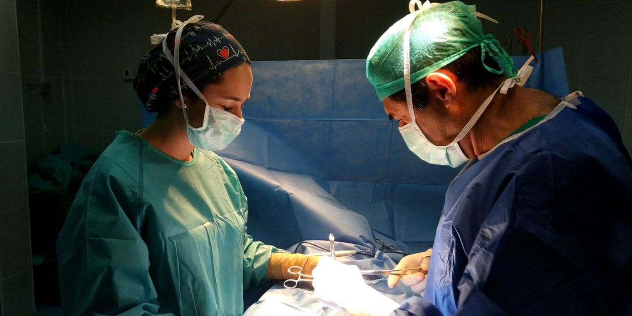 Cuatro profesionales sanitarios de hospitales públicos jiennenses han atendido a 70 pacientes en los campos de refugiados saharauis de Tinduf