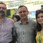 Ponen en marcha un proyecto innovador sobre la implantación de cubiertas herbáceas en diferentes tipos de olivar