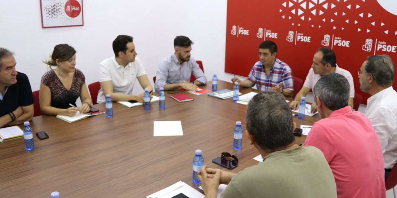 El PSOE pedirá una reunión inmediata con el nuevo ministro de Fomento para acometer medidas «a cortísimo plazo» que mejoren el ferrocarril en Jaén