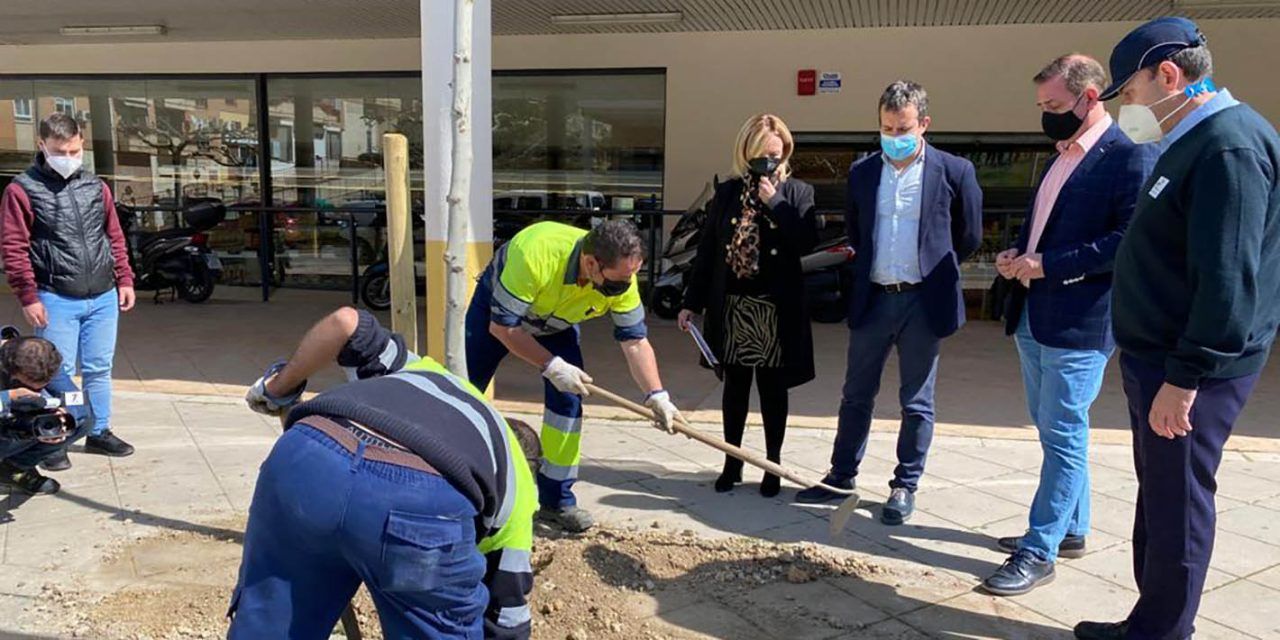 Jaén incorpora 1.200 árboles nuevos en su casco urbano