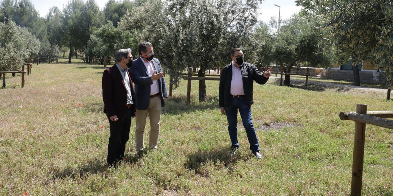 Una treintena de variedades de olivar conforman un jardín promovido por la Diputación en la Vía Verde del Aceite