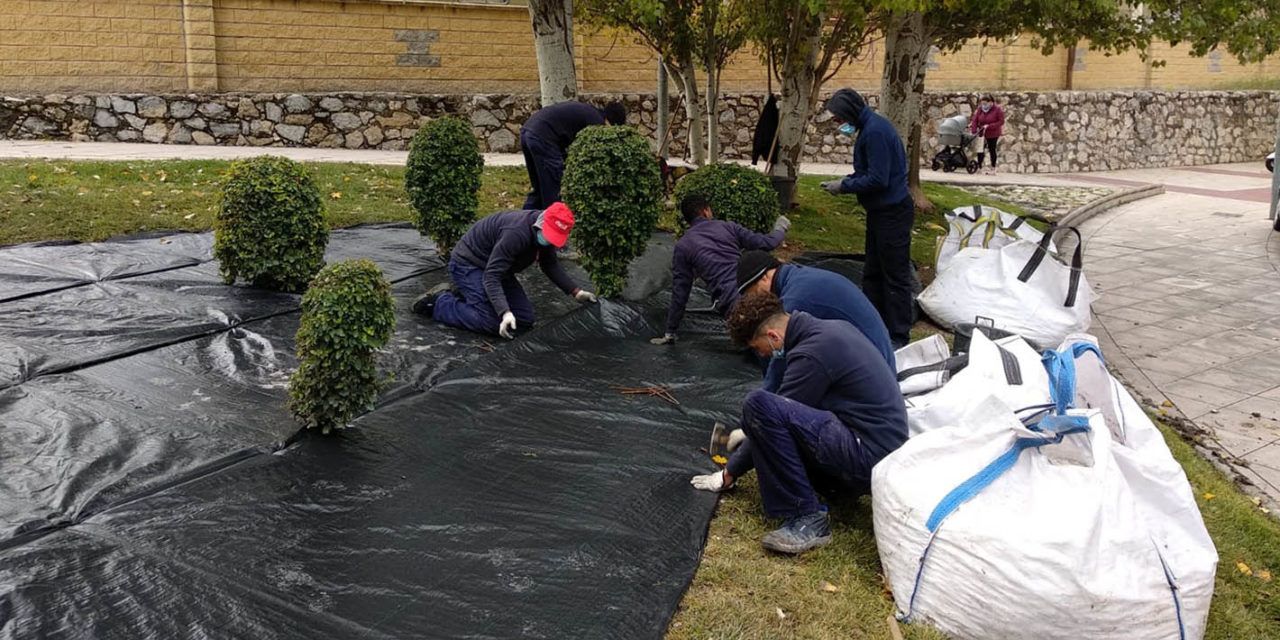 Seis alumnos ex tutelados del curso de Viverismo y Jardinería del Ayuntamiento de Jaén y Cruz Roja avanzan en su formación y realizan prácticas en distintas zonas verdes