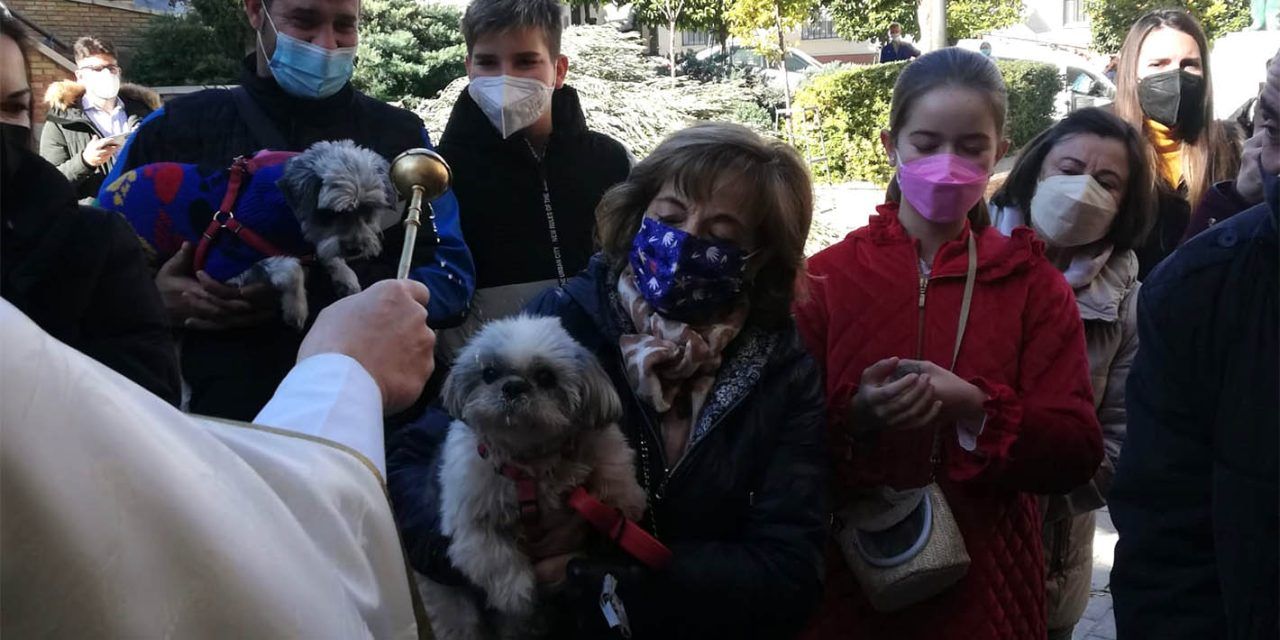 Bendición de mascotas por San Antón en la parroquia de San Juan