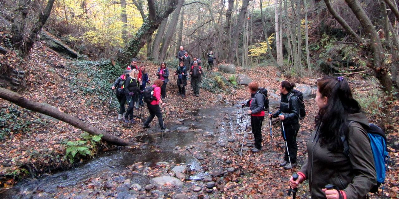 El programa de Conocimiento del Patrimonio de la UPM acerca a más de 300 personas a las riquezas monumentales y naturales de la provincia