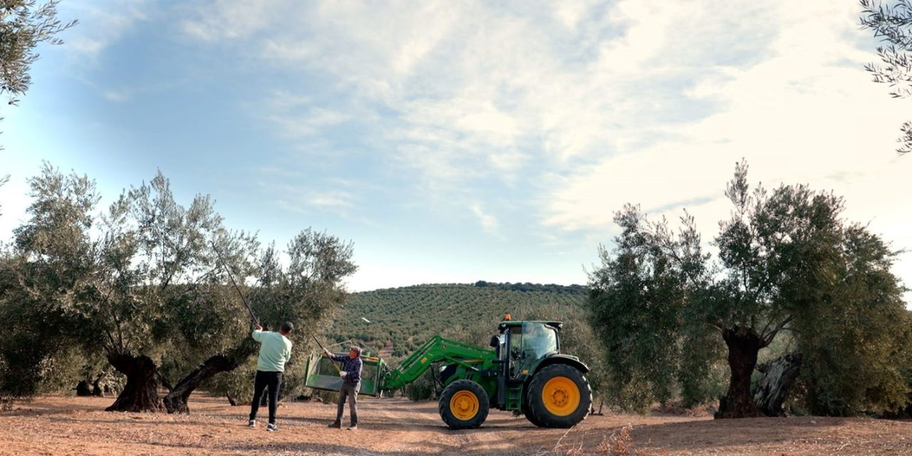 LAS RUTAS D’AMBROSIO EN JAÉN, MAR DE OLIVOS