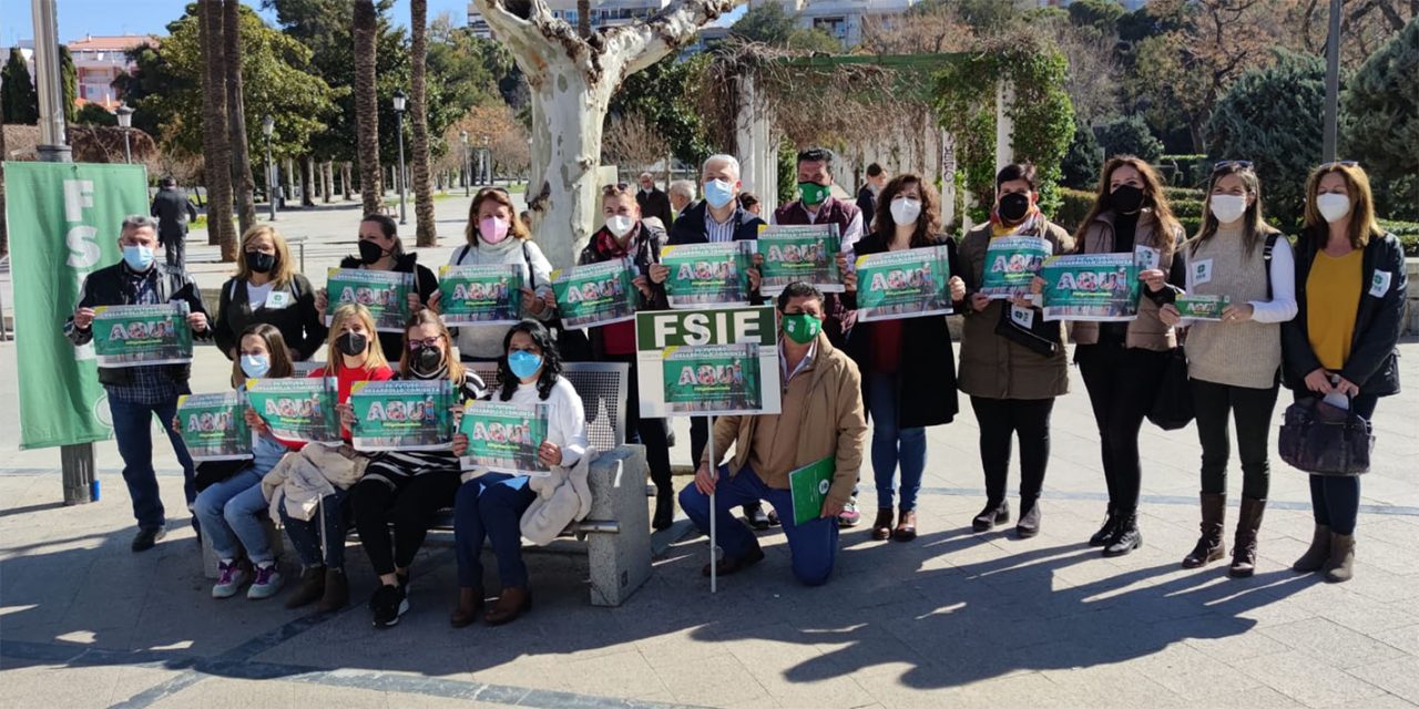 FSIE-ANDALUCÍA PRESENTA A LOS PARTIDOS POLITICOS SUS PROPUESTAS EN MATERIA EDUCATIVA Y DISCAPACIDAD