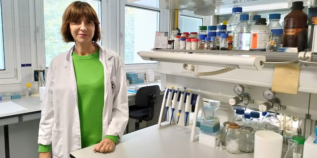 Personal investigador de la UJA identifica una molécula en un grupo de células musculares que marca una nueva y prometedora diana terapéutica para la regeneración muscular