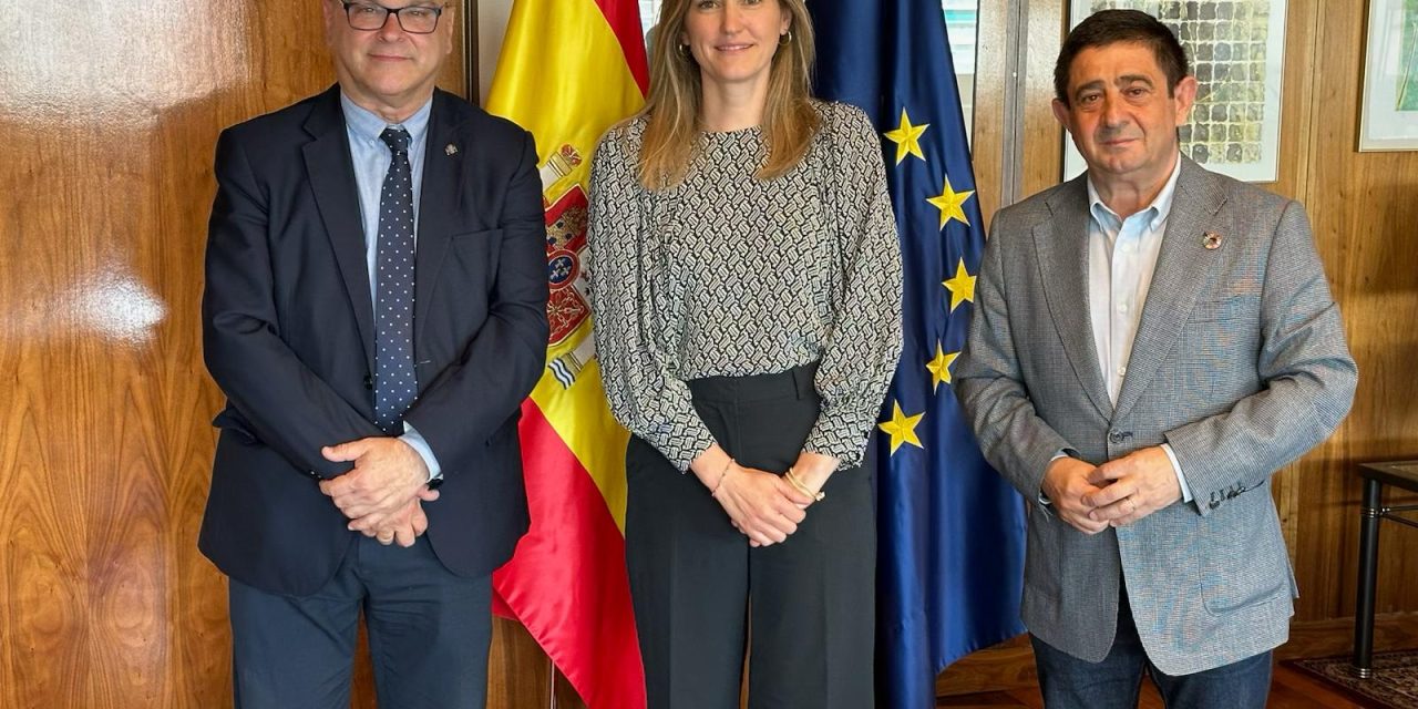 Reyes aborda con la Secretaria de Estado para la Energía la planificación de infraestructuras eléctricas en la provincia